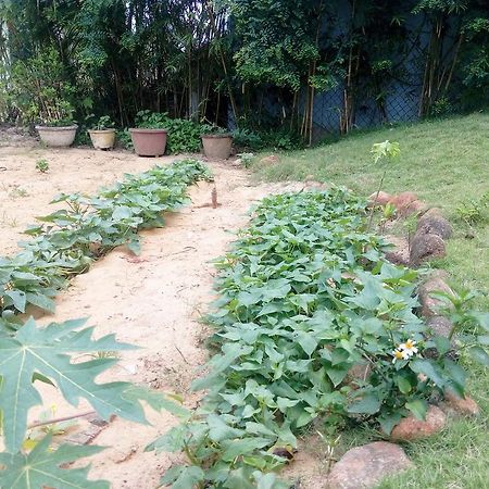 The Field Homestay Hoi An Esterno foto