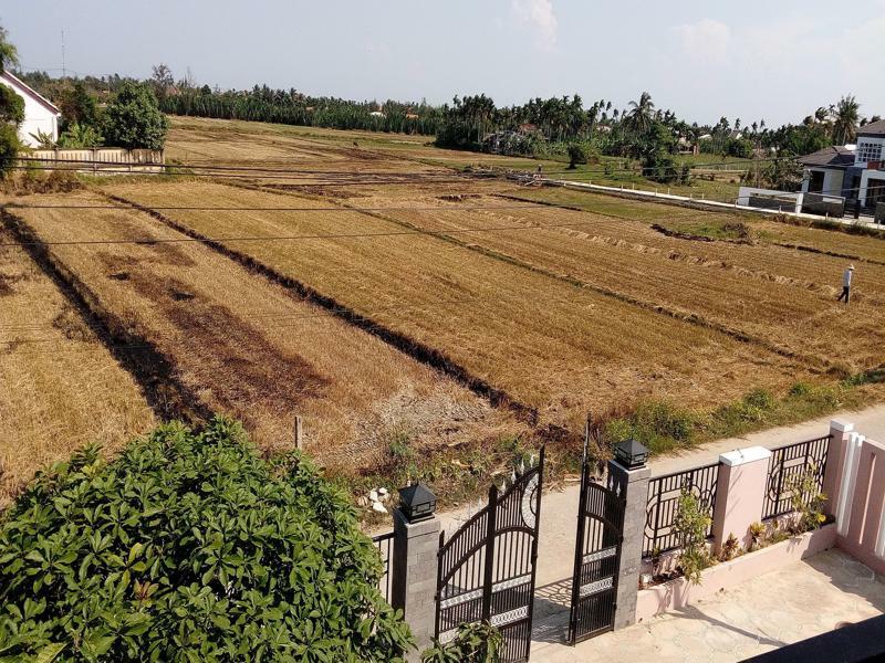 The Field Homestay Hoi An Esterno foto