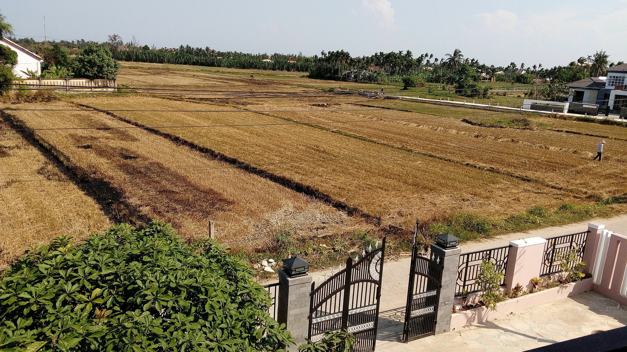 The Field Homestay Hoi An Esterno foto